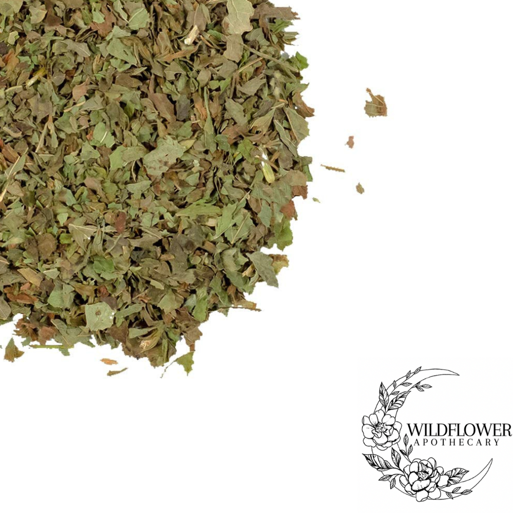 Lemon Balm | Organic Dried Lemon Balm