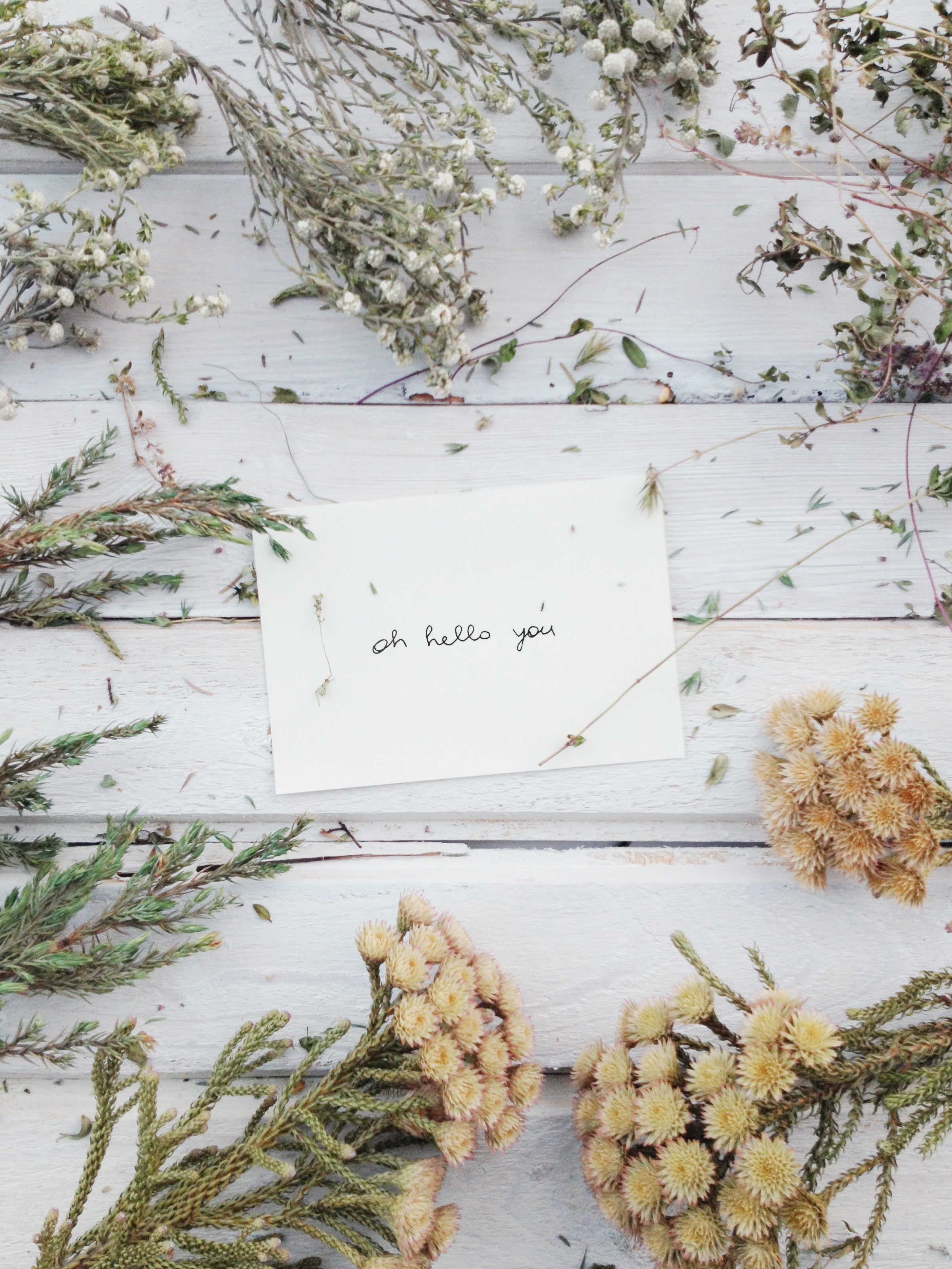 Wildflower Apothecary Co - Handcrafted Organic Body Products, Witchy Shop, Pagan Shop, Crystals, Smudge Sticks, Palo Santo, Plant Based Skincare, Natural Body Products, Vegan Skincare