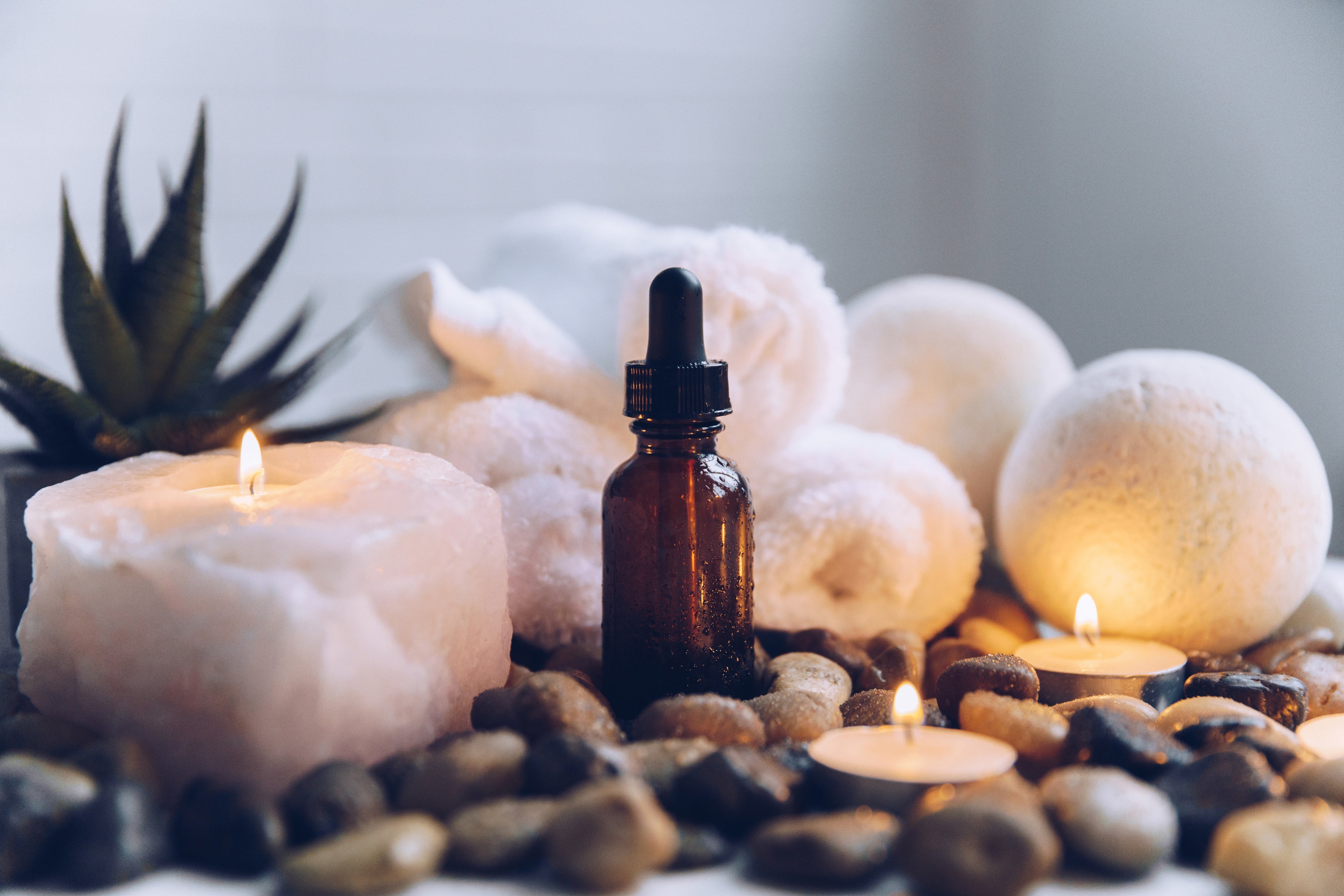 Wildflower Apothecary Co - Witchy Shop, Pagan Shop, Crystals, Smudge Sticks, Palo Santo, Plant Based Skincare, Natural Body Products, Vegan Skincare